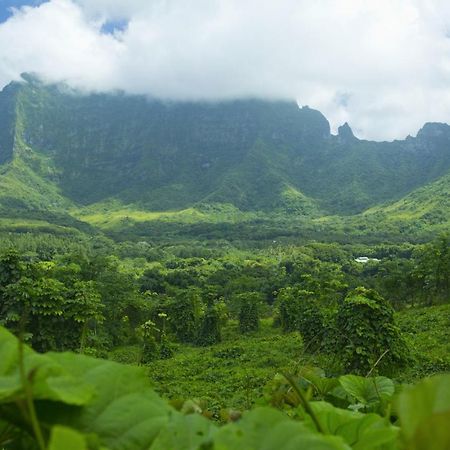 Raiatea - Studio Tenape Tevaitoa Экстерьер фото