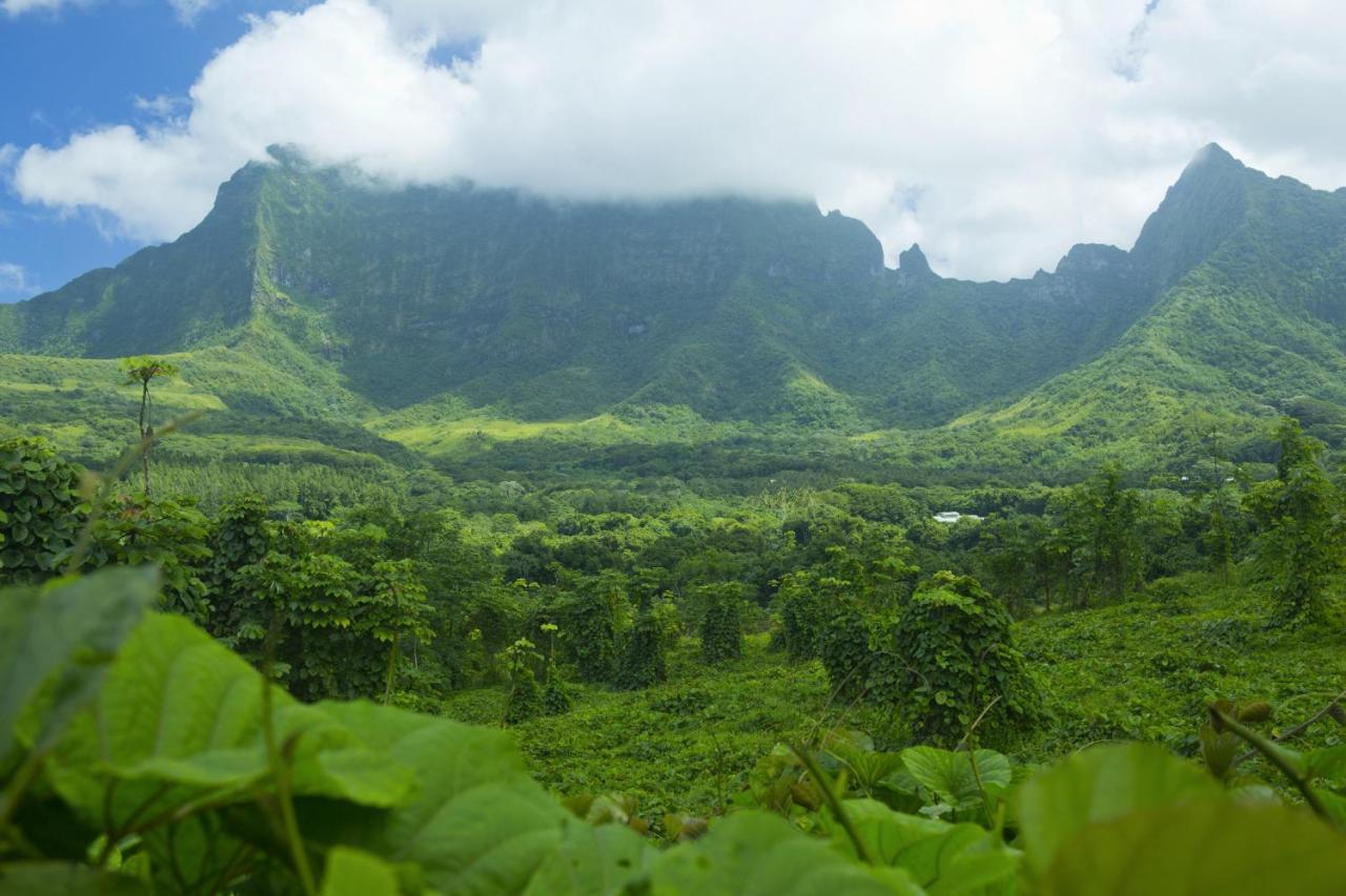 Raiatea - Studio Tenape Tevaitoa Экстерьер фото