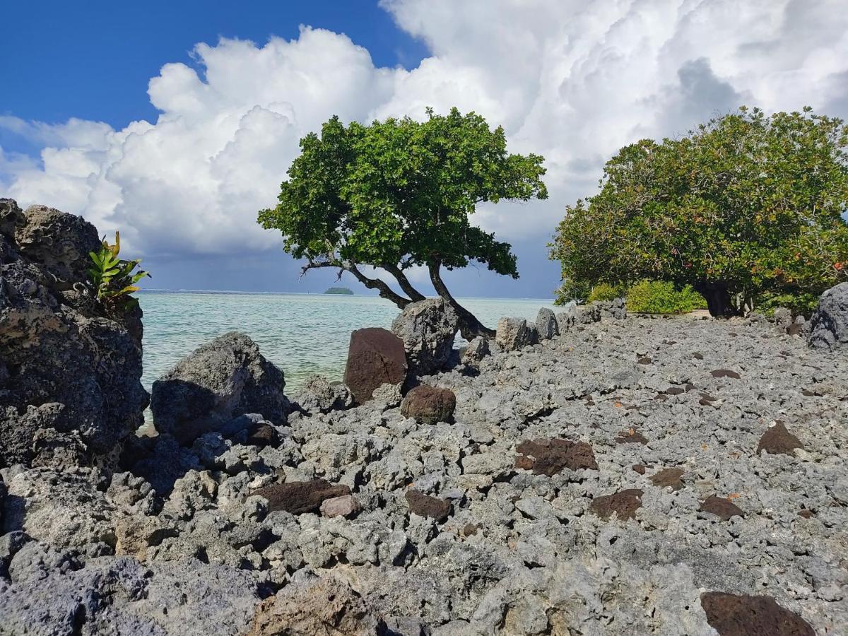 Raiatea - Studio Tenape Tevaitoa Экстерьер фото